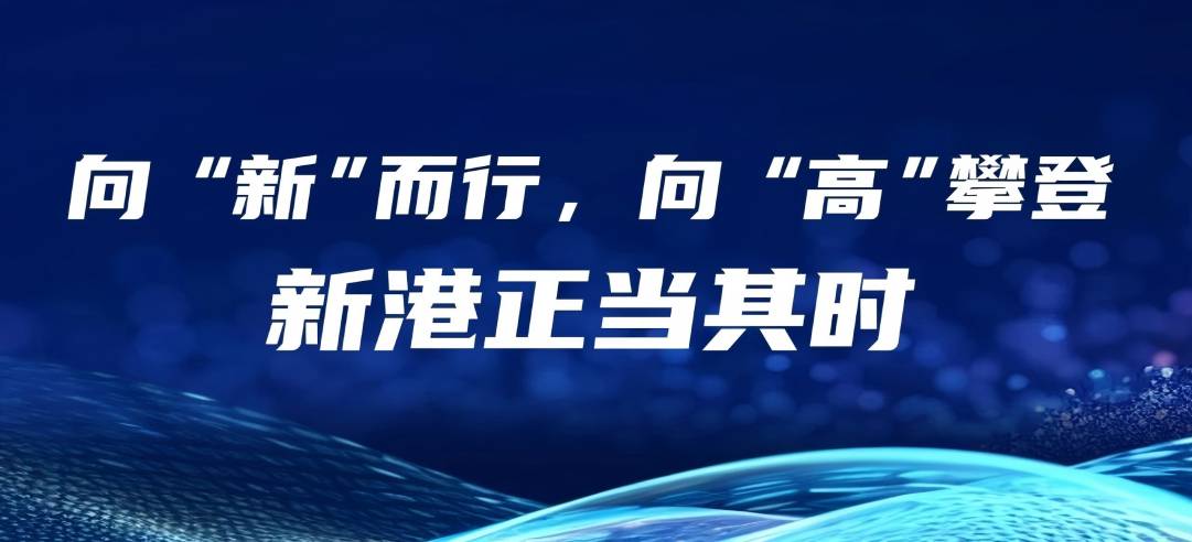 民營經濟大有可為丨向“新”而行，向“高”攀登，新港正當其時